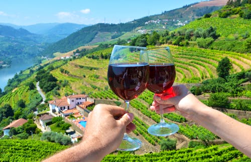 Wein Gläser vor Weingarten – Portugal &ndash; &copy; aproposx - stock.adobe.com