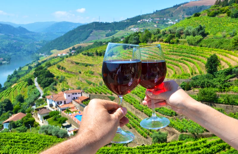 Wein Gläser vor Weingarten – Portugal - ©aproposx - stock.adobe.com