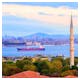 Istanbul – Bosperus Panorama mit Blauer Moschee – © Boris Stroujko - stock.adobe.com