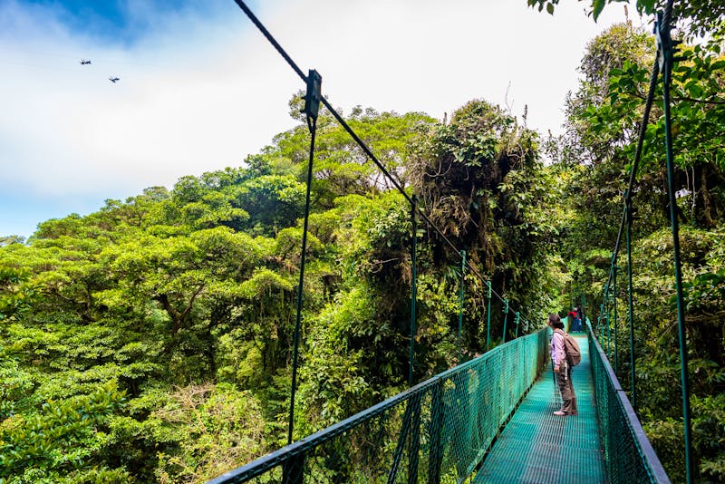 Costa Rica – Mädchen auf Hängebrücke im Regenwald von Monteverde - ©Simon Dannhauer - stock.adobe.com