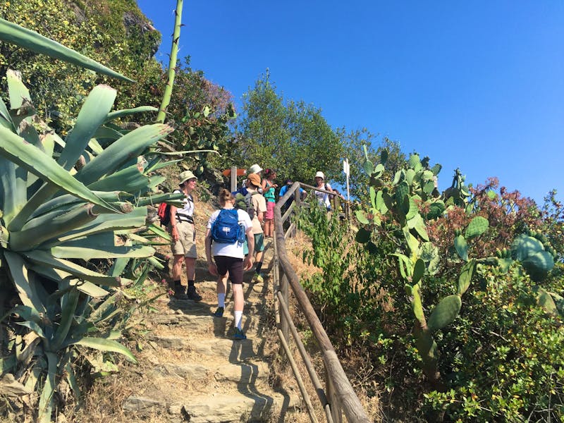 Wanderung von Corniglia nach Vernazza - ©Patrick Fritzsche
