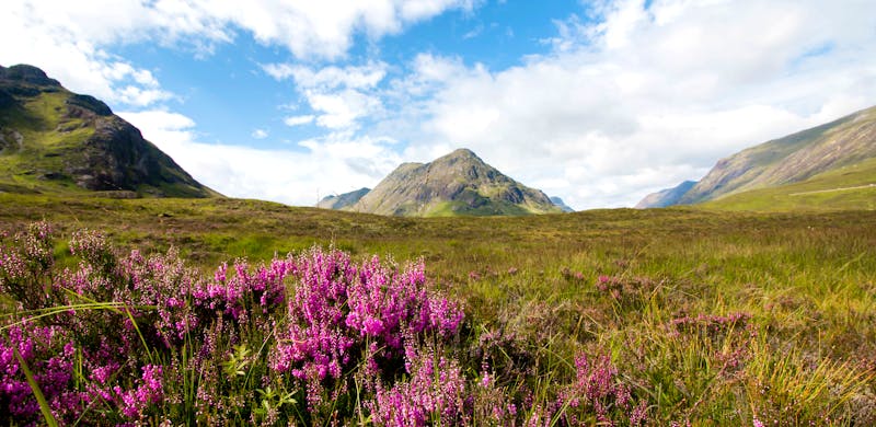 Glen Coe Tal in den Highlands, Schottland, Breitbild - ©Patrick Daxenbichler - Adobe Stockphoto