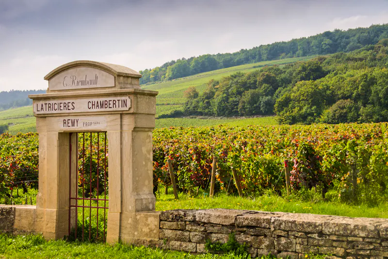 Weingut in Cote de Nuits - &copy;Gavin – stock.adobe.com