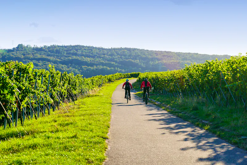 Radtour in den Weinbergen - &copy;magicbeam – stock.adobe.com