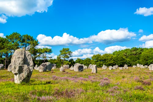 Menhire in Carnac &ndash; &copy; Hetizia - stock.adobe.com