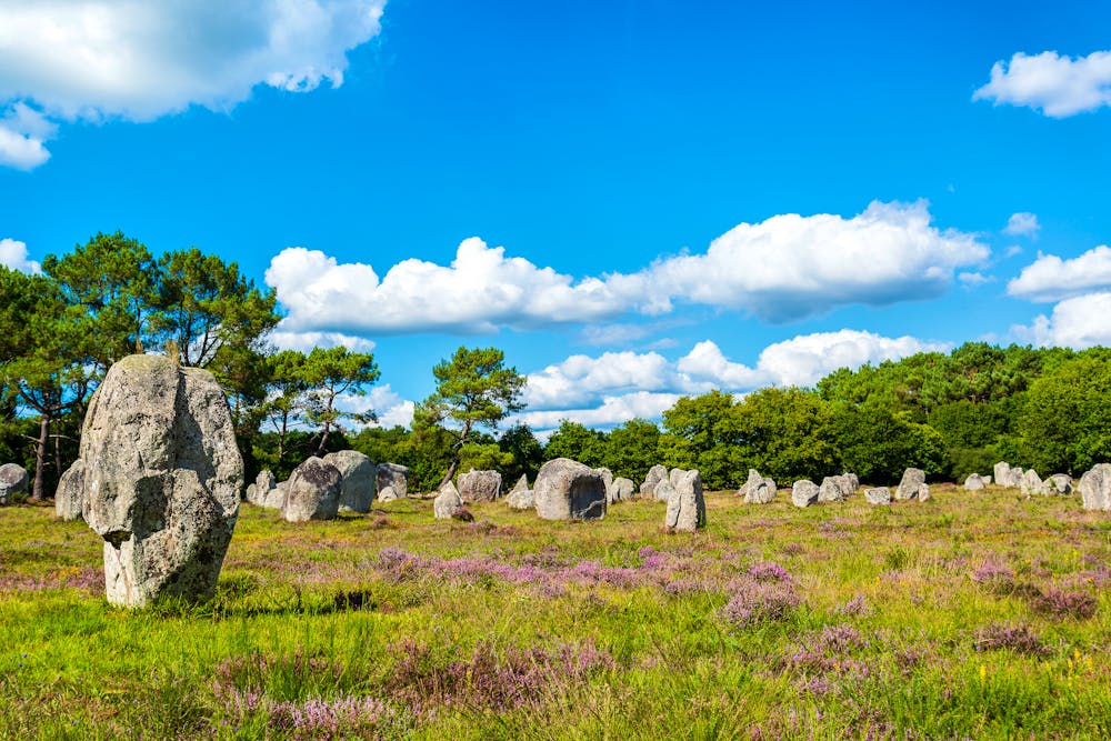 Menhire in Carnac &ndash; &copy; Hetizia - stock.adobe.com