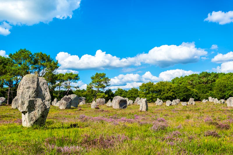 Menhire in Carnac - ©Hetizia - stock.adobe.com