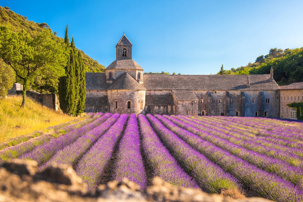 Das Kloster Notre-Dame de Sénanque in der Provence &ndash; &copy; samott - stock.adobe.com