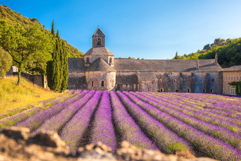 Das Kloster Notre-Dame de Sénanque in der Provence - ©samott - stock.adobe.com