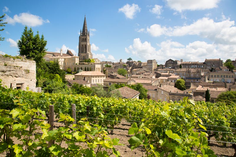 Blick auf Saint-Emilion nahe Bordeaux - ©sylv1rob1 - stock.adobe.com