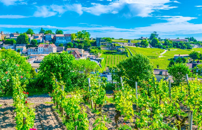 Blick auf Saint-Emilion nahe Bordeaux - ©dudlajzov - stock.adobe.com