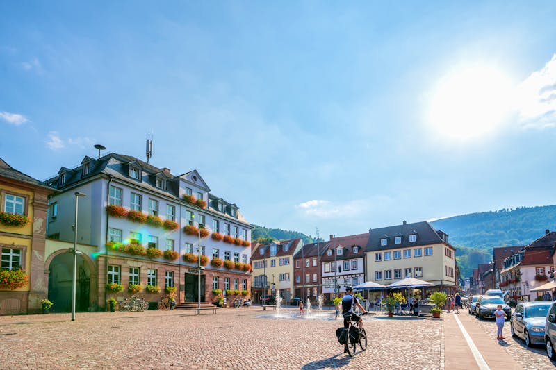 Miltenberg, Rathaus - ©pure-life-pictures - stock.adobe.com