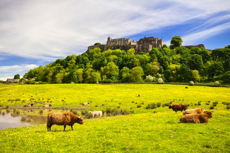 Stirling Castle in Schottland - ©©gornostaj - stock.adobe.com