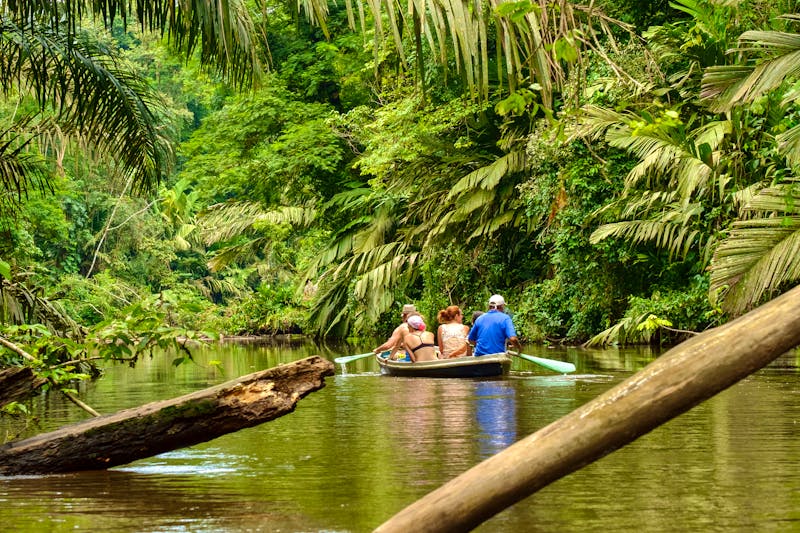 Im Tortuguero Nationalpark, Costa Rica - ©Emanuele Zanolli - Adobe Stock