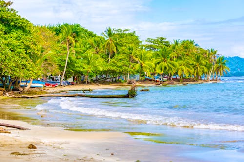 Karibikküste bei Puerto Viejo &ndash; &copy; ©ronnybas - stock.adobe.com