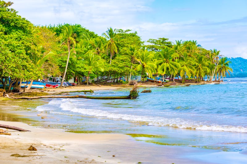 Karibikküste bei Puerto Viejo - ©©ronnybas - stock.adobe.com