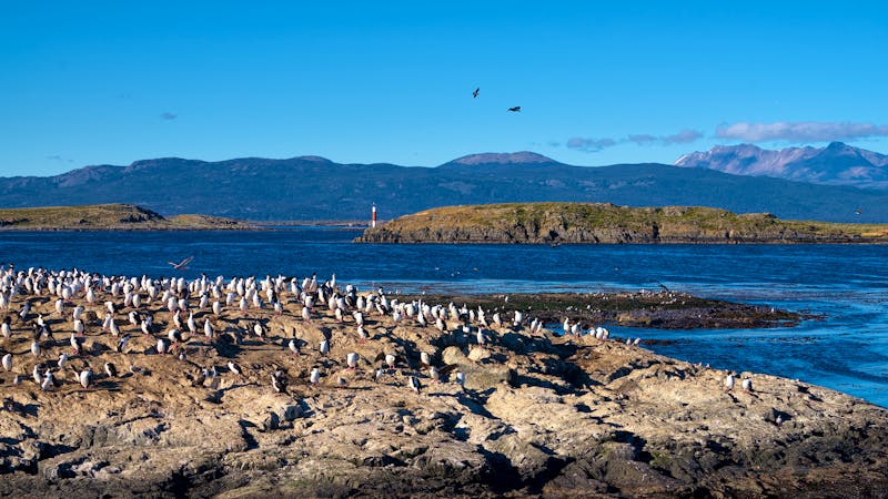Beagle-Kanal bei Ushuaia - Feuerland - ©©Marcelo - stock.adobe.com
