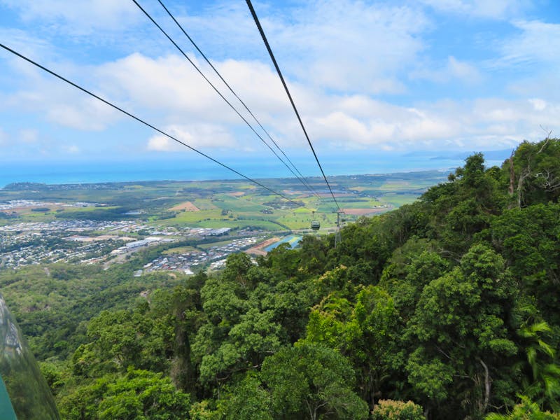 Kuranda Regenwald - ©Anna Stiebing