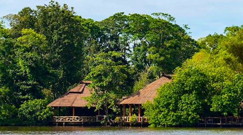Laguna Lodge Tortuguero – © Laguna Lodge Tortuguero