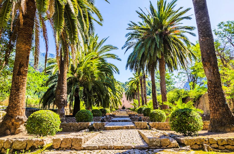 Garten von Alfabia auf Mallorca - ©Kevin Eaves - stock.adobe.com