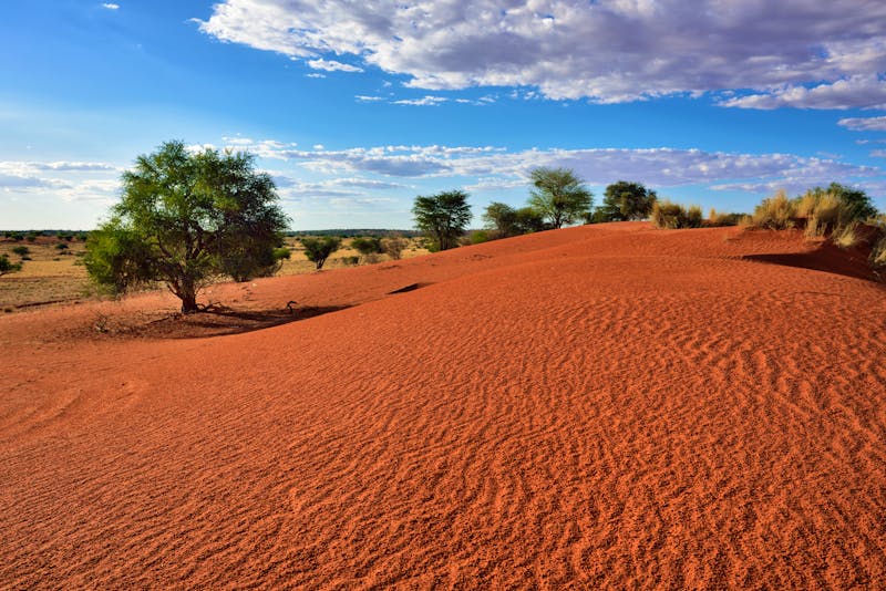 Kalahari-Wüste in Namibia - ©Oleg Znamenskiy - stock.adobe.com