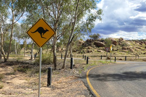 nahe der alten Telegrafenstation in Alice Springs &ndash; &copy; Frank Nimschowski