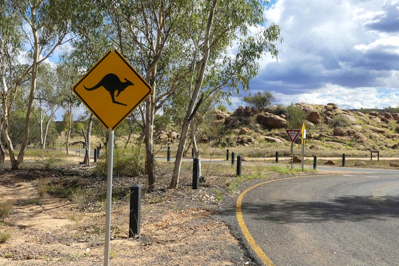 nahe der alten Telegrafenstation in Alice Springs - ©Frank Nimschowski