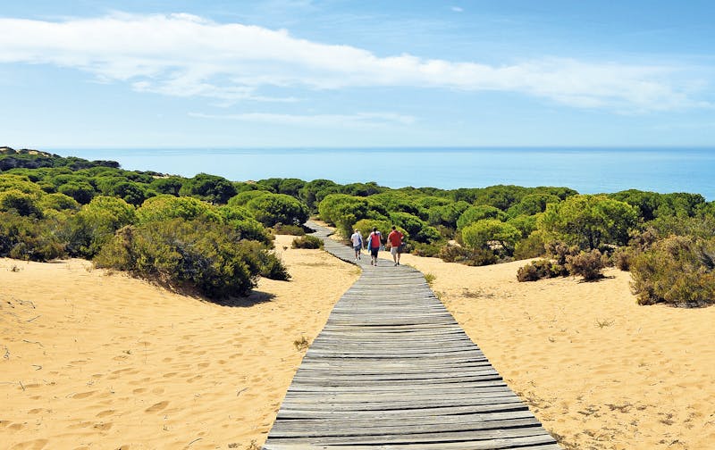Im Donana Nationalpark - ©joserpizarro - Adobe Stock