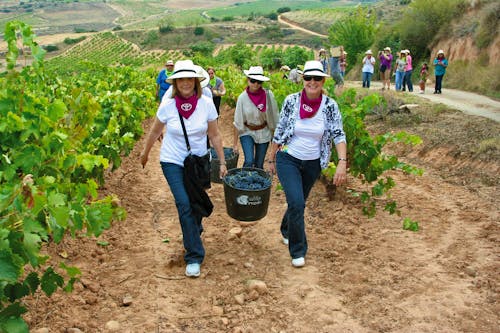 Winzertag im Rioja Weinanbaugebiet &ndash; &copy; Riojatrek