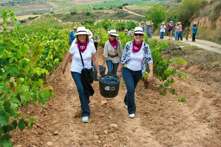 Winzertag im Rioja Weinanbaugebiet – © Riojatrek