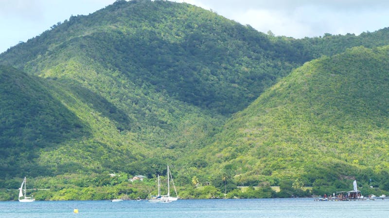 Martinique - &copy;Nadja Klinkhardt