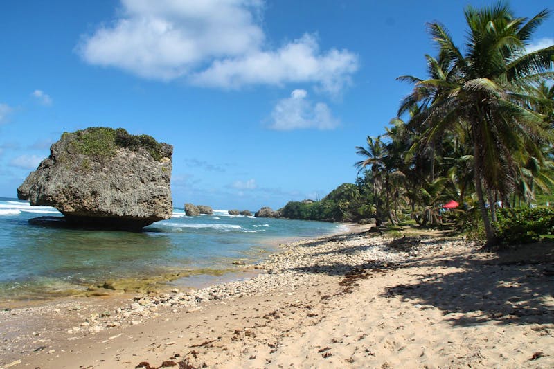 Inselrundfahrt Barbados - Bathsteba - &copy;Jacob Spangenberg