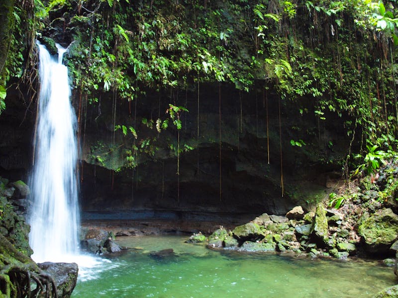 Dominica - Emerald Pool - ©Juliane Voigt