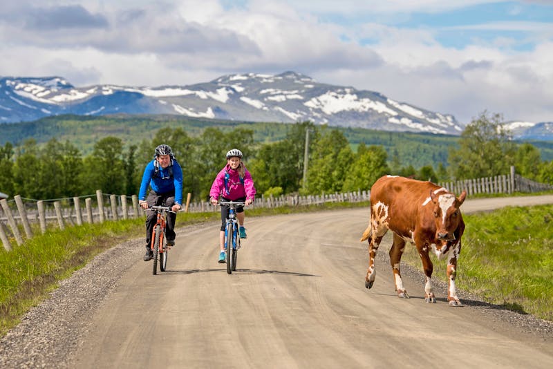 Mjølkevegen  - ©SCANOUT.COM, Mountains of Norway