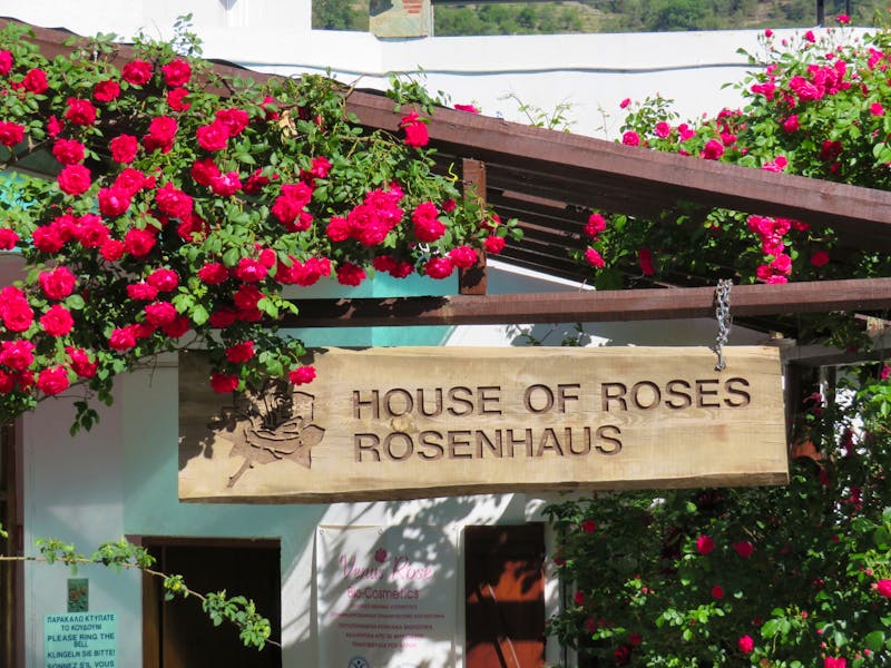 Haus der Rosen in Agros - ©Mario Scheinert