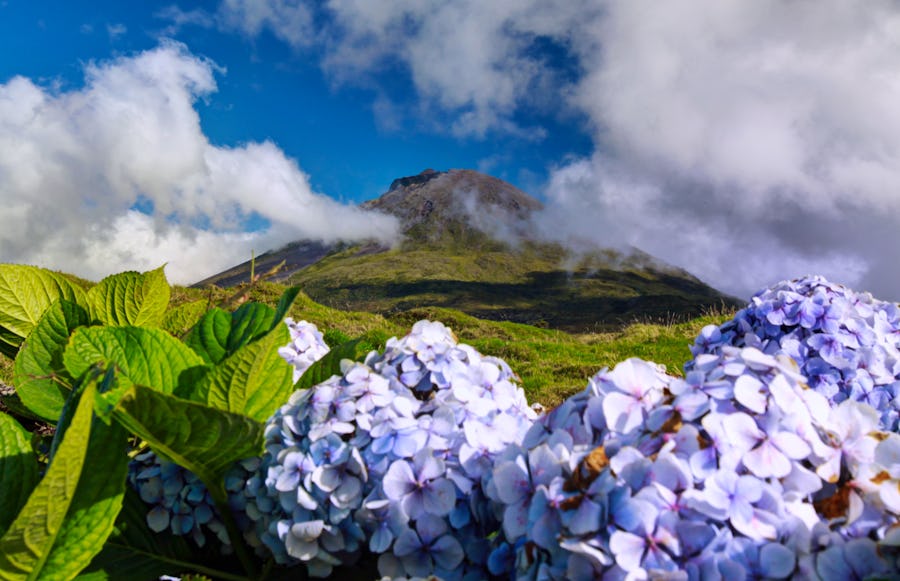 Vulkan Pico auf der Azoren-Insel Pico – © ©Henner Damke - stock.adobe.com