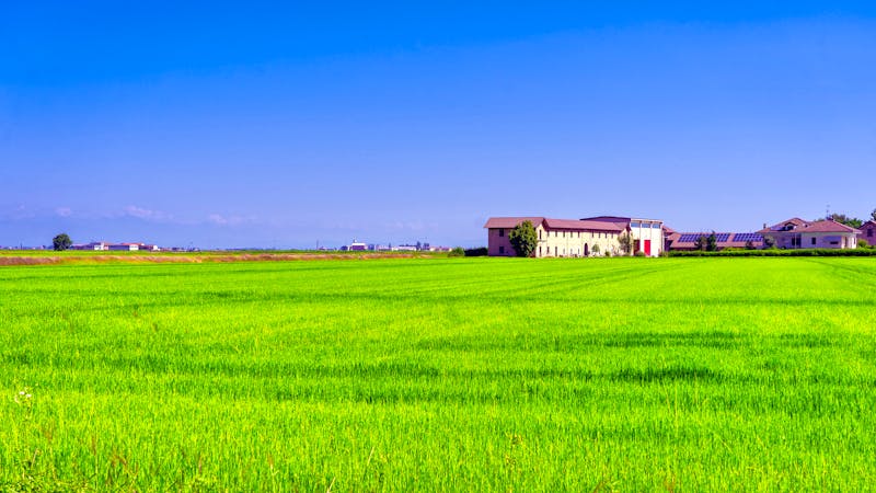 Reisanbaugebiet Vercelli - ©Claudio Colombo - Adobe Stockphoto