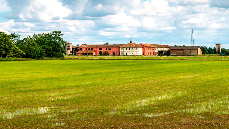 Reisanbaugebiet Vercelli - ©Alexandre Rotenberg - Adobe Stockphoto