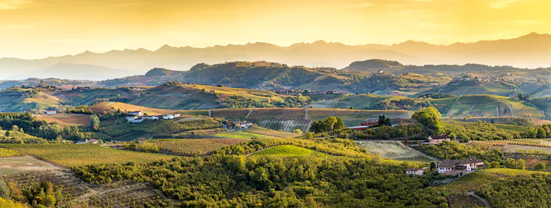 Weinfelder in der Langhe-Region - &copy;stefanocar_75 - Adobe Stockphoto