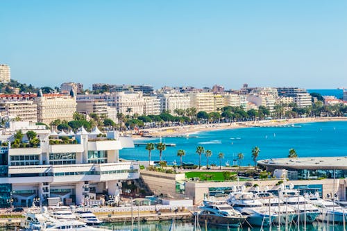 Promenade de la Croisette – Cannes &ndash; &copy; kerenby – stock.adobe.com