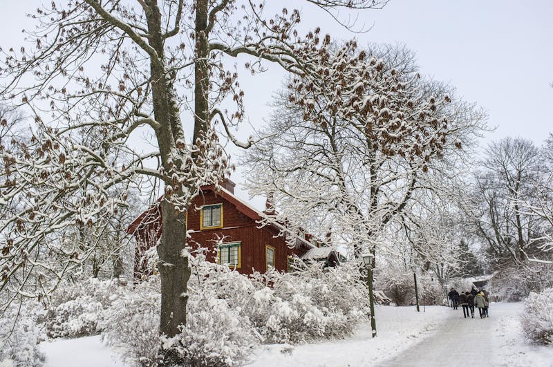Skansen - ©Tuukka Ervasti