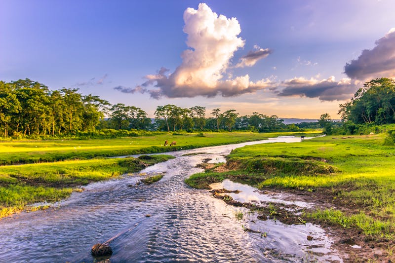 Chitwan-Nationalpark in Nepal - ©rpbmedia - stock.adobe.com