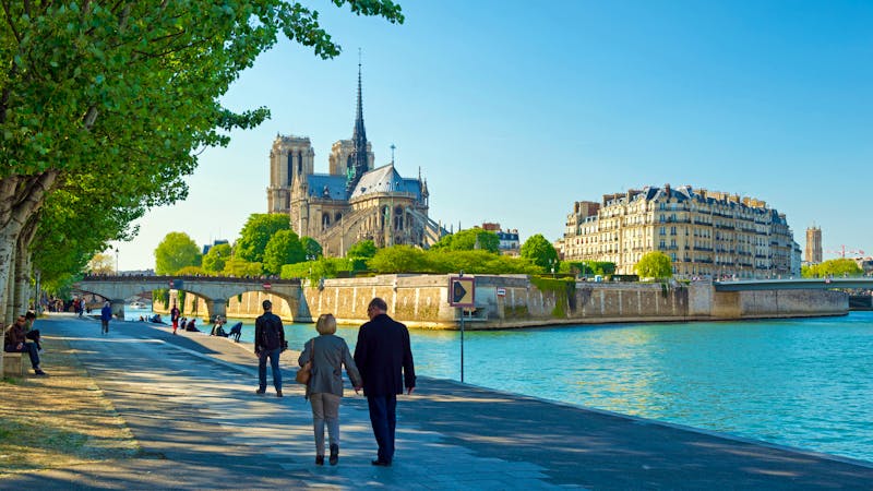 Blick von der Rive-Gauche auf die Île de la Cité - ©djama - stock.adobe.com