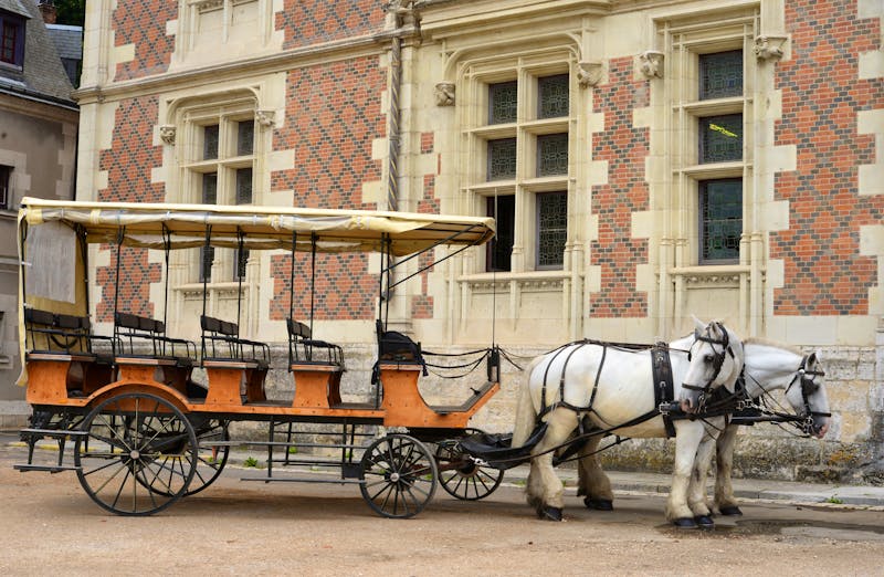 Pferdekutsche vor dem Schloss in Blois - ©Sinuswelle - stock.adobe.com