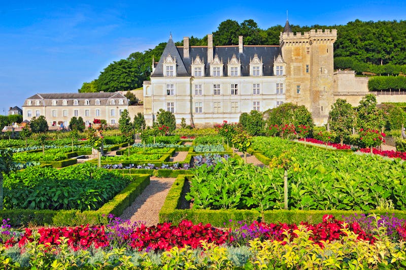 Der wundervoll gestaltete Garten von Schloss Villandry im Loire-Tal - ©Cezary Wojtkowski - stock.adobe.com