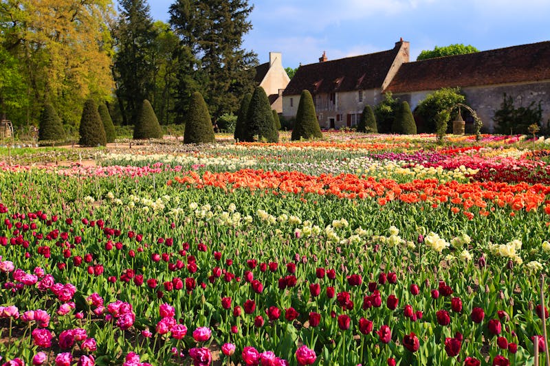 Garten des Schloss Chenonceau im Loire-Tal - ©nikidel - stock.adobe.com