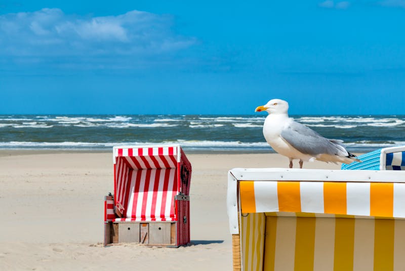 Möwe, Strandkorb und Sandstrand auf der Nordsee-Insel Langeoog - ©©Henrik Dolle - stock.adobe.com