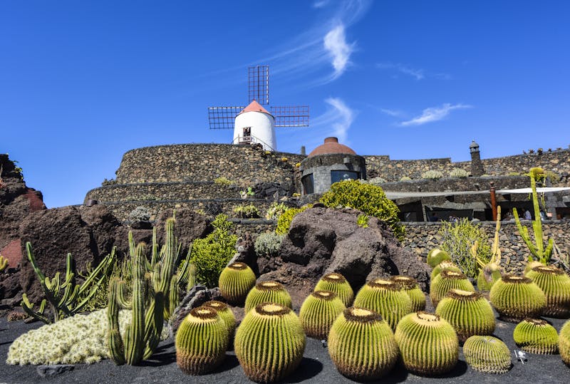 Kaktus-Garten und Windmühle auf Lanzarote, Kanarische Inseld - ©©CA Irene Lorenz - stock.adobe.com