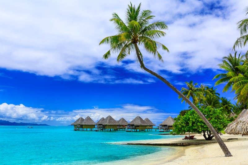 Palmenstrand auf Bora Bora in Französisch-Polynesien - ©sorincolac - Fotolia