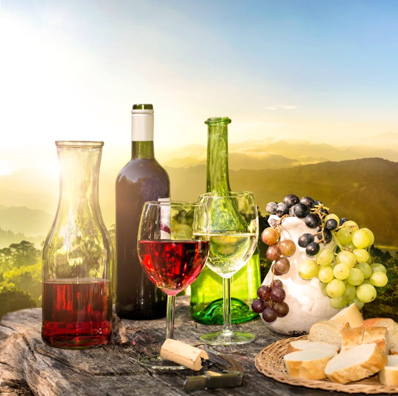 Weinprobe in den Weinbergen - ©©Visions-AD - stock.adobe.com